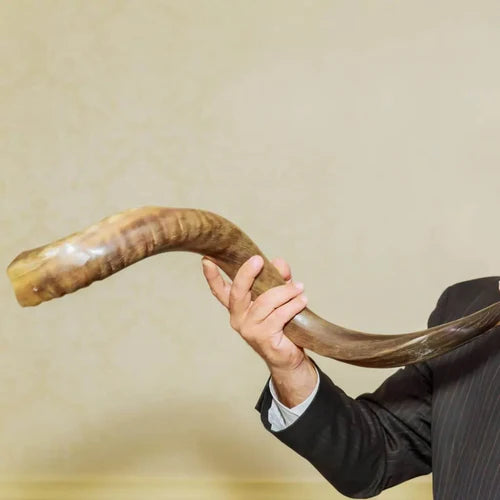 HOW TO CARE FOR A SHOFAR