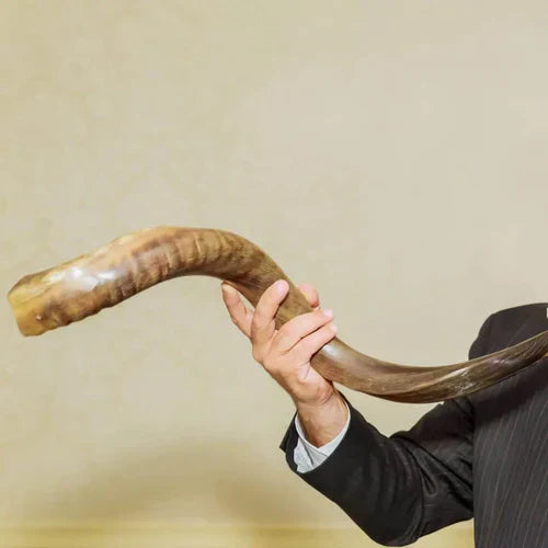 How To Care For A Shofar