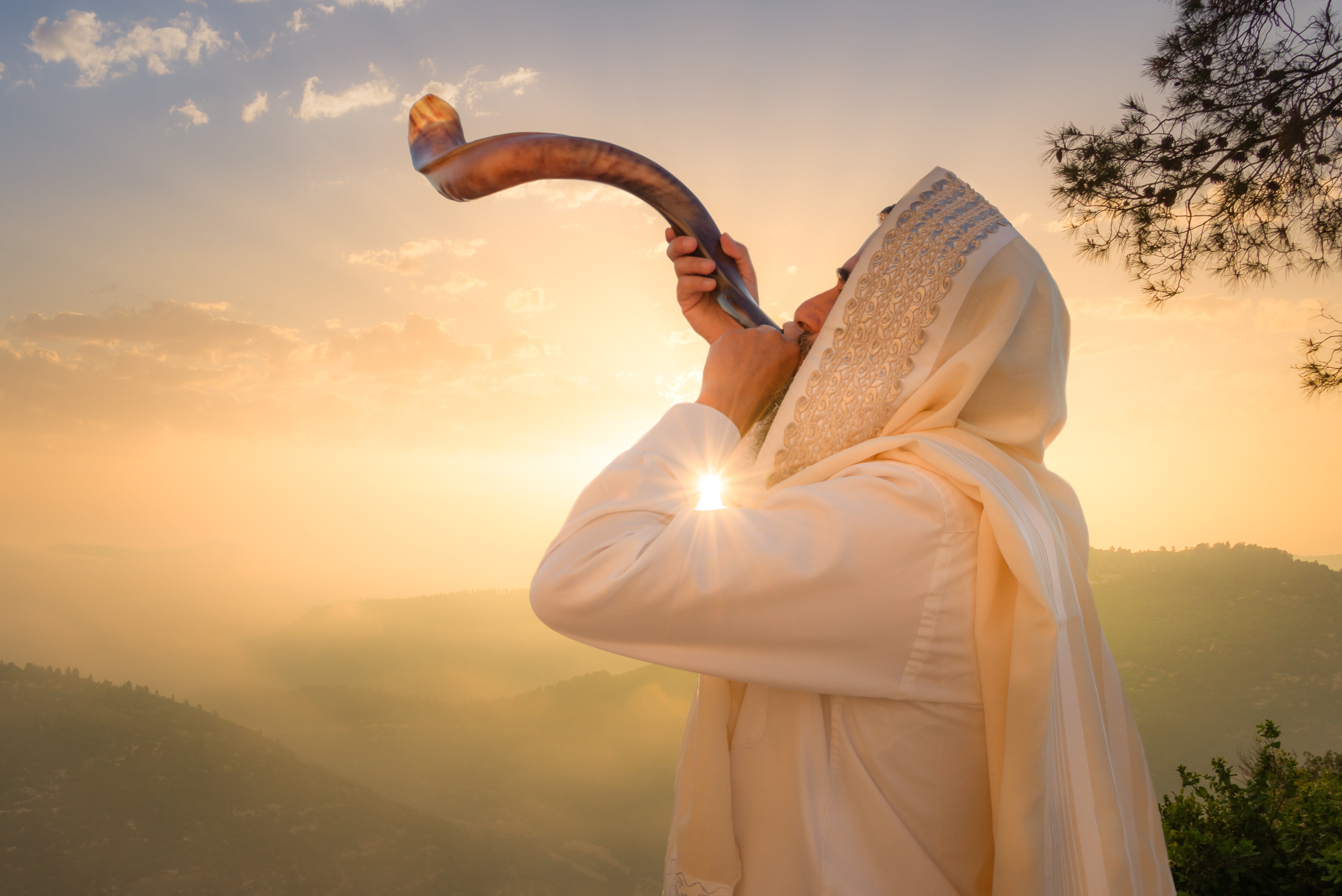 THE SHOFAR AND ITS BIBLICAL PURPOSE