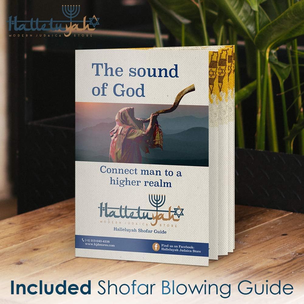 HalleluYAH Kudu Half Polished Shofar Plus Ram Horn, Guide & Brush - halleluyah