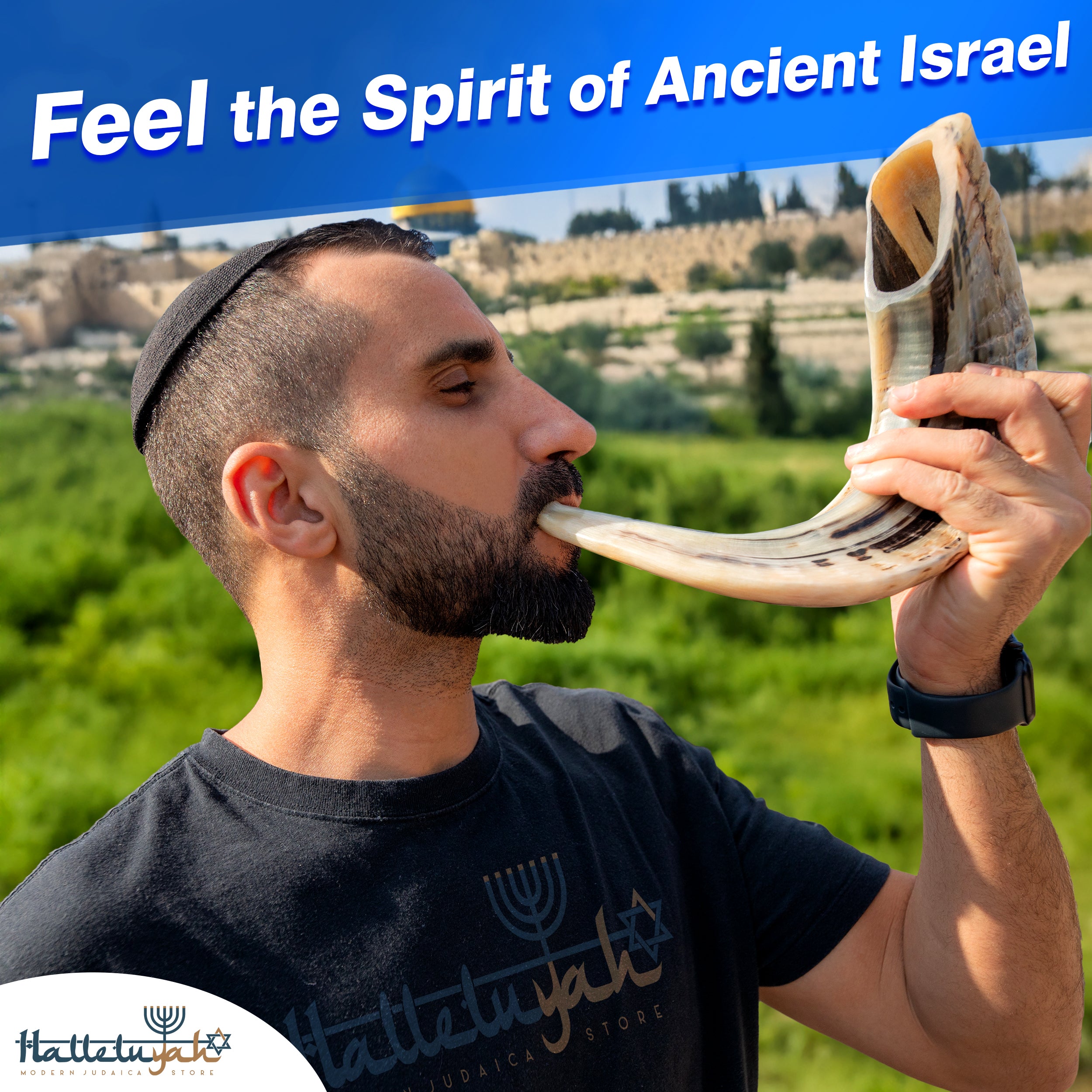 Sacred Ram Horn Shofar Set by HalleluYAH | Handcrafted in Israel