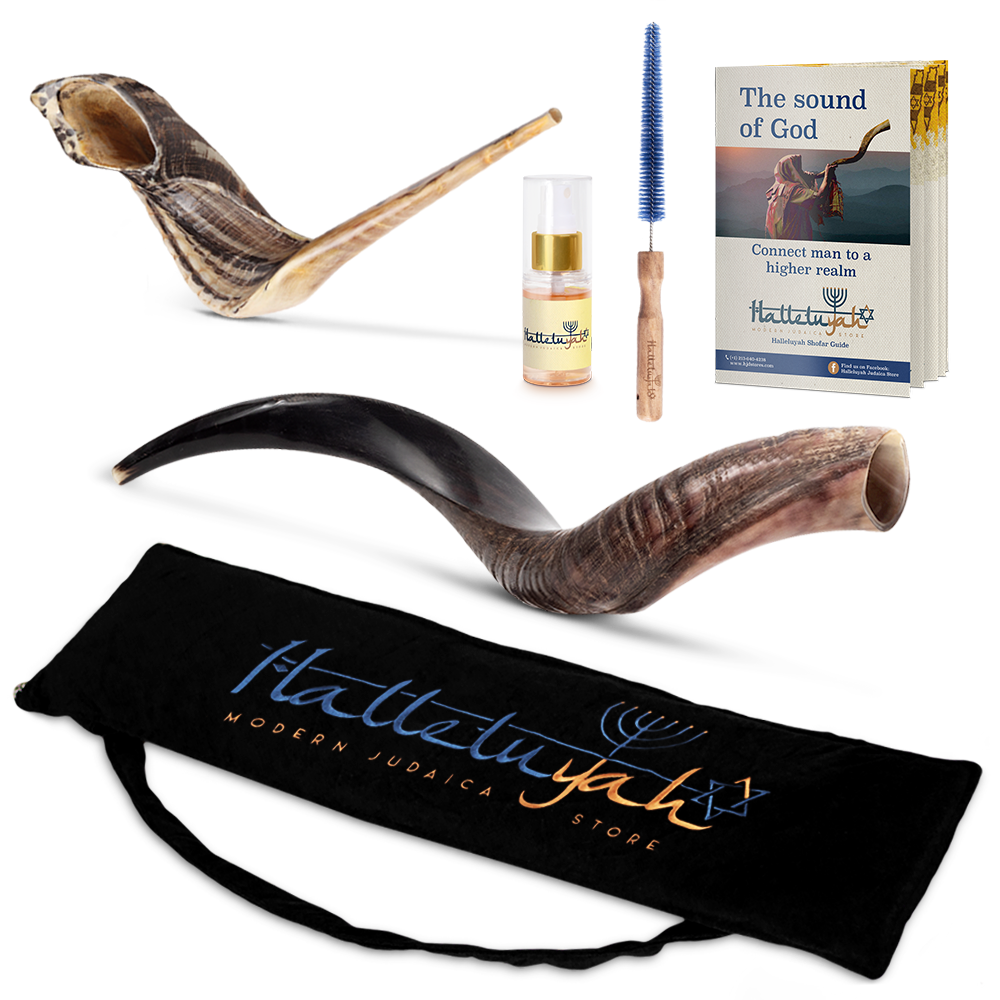 HalleluYAH Kudu Half Polished Shofar Plus Ram Horn, Guide & Brush - halleluyah