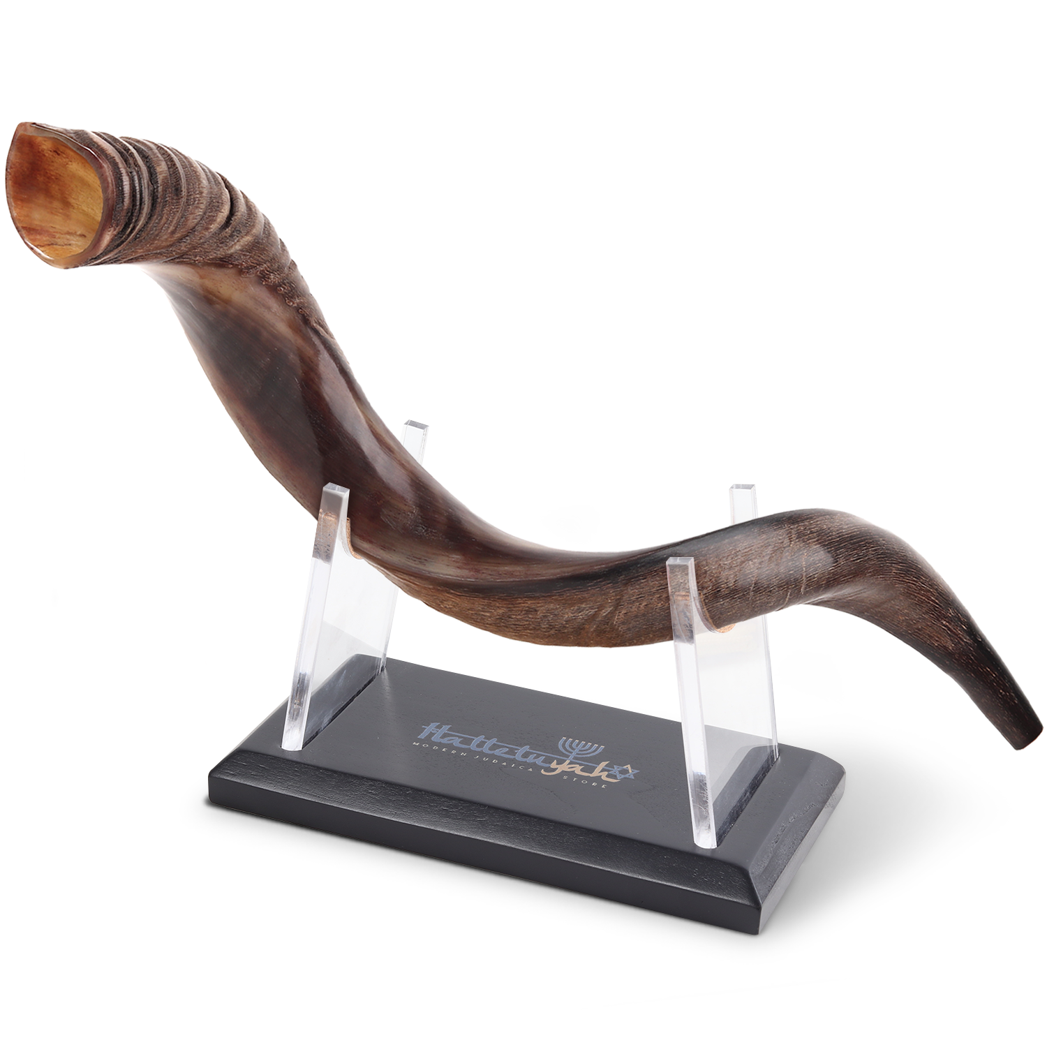 Kudu Shofar with Wood Stand