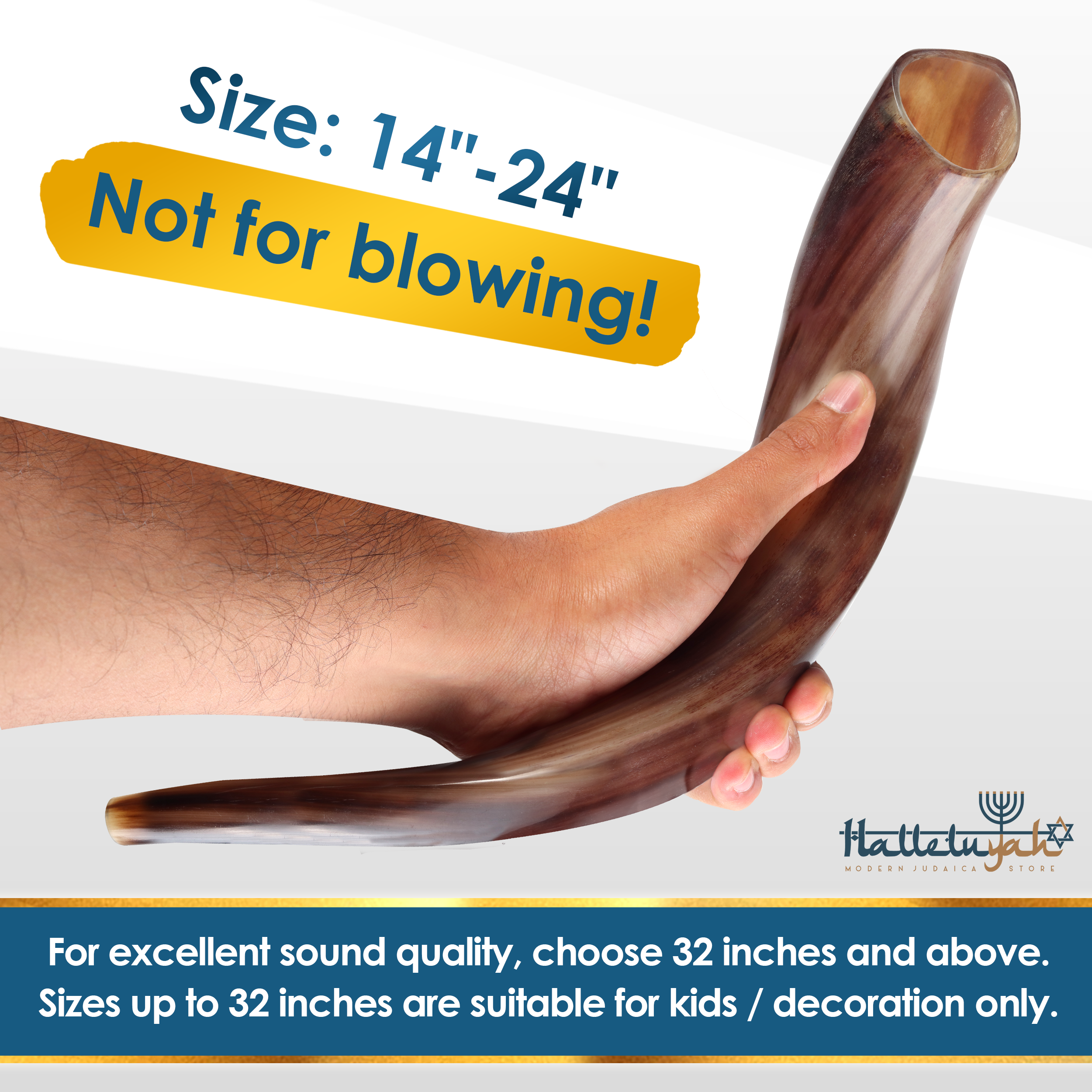 HalleluYAH Kudu Fully Polished Plus Set - halleluyah