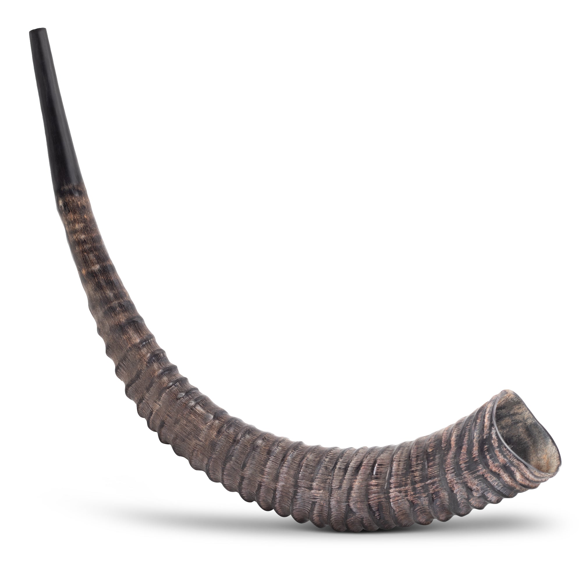 HalleluYAH Yemenite Sable Horn Shofar - halleluyah