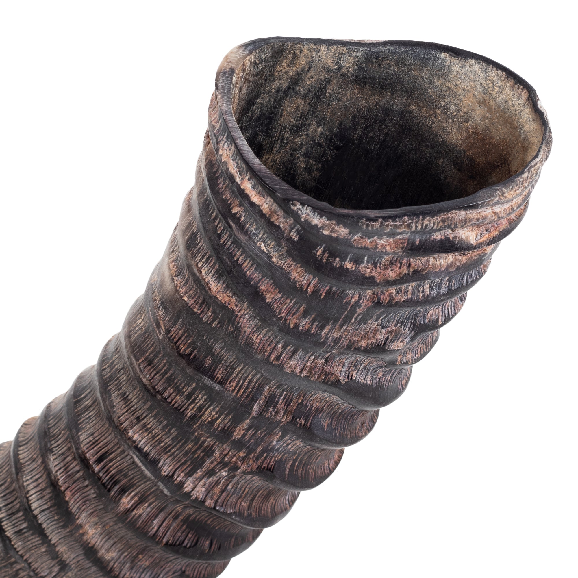 HalleluYAH Yemenite Sable Horn Shofar - halleluyah