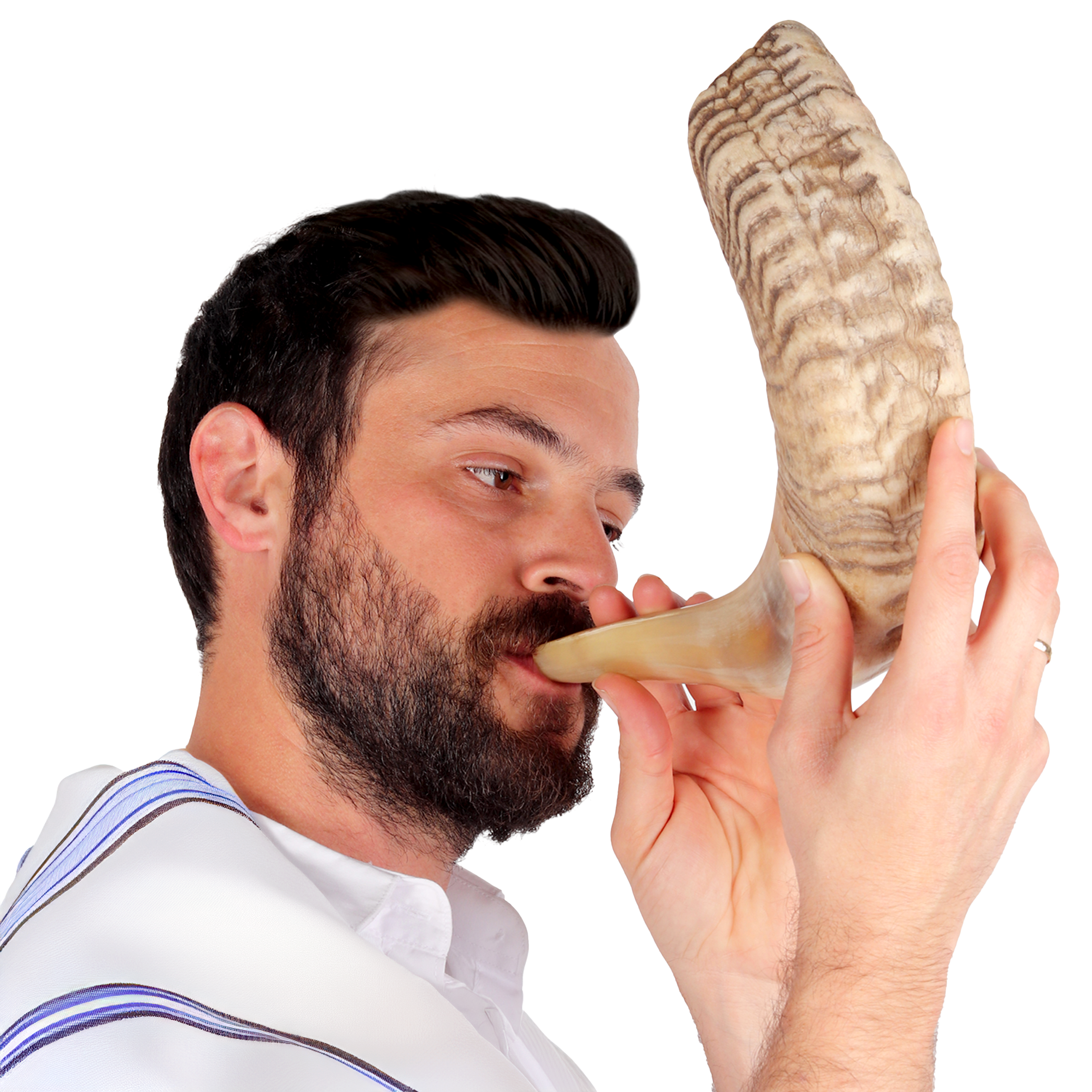 Ram Shofar